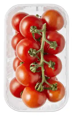 PLUS PLUS Cocktailtrostomaten aanbieding