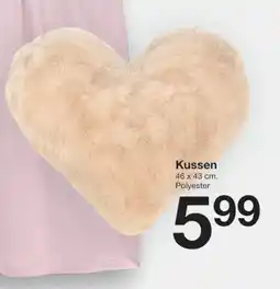 Zeeman Kussen Polyester aanbieding