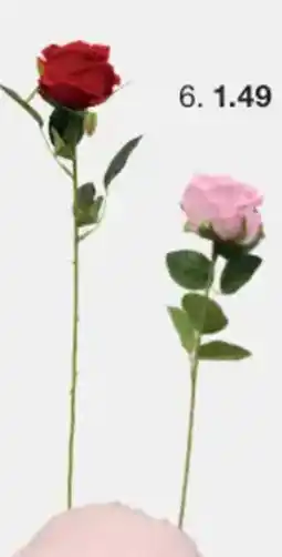 Zeeman Kunstroos aanbieding