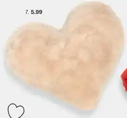 Zeeman Kussen aanbieding