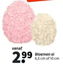 Wibra Bloemen ei aanbieding