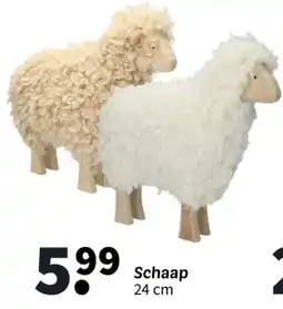 Wibra Schaap aanbieding