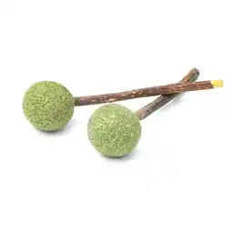 Zooplus Aumüller Silver Vine Tandspeelgoed Lolly - Voordeelpakket: 3 x 2 Stuks aanbieding