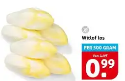 Hoogvliet Witlof los aanbieding