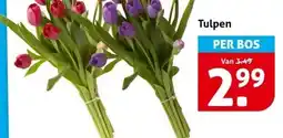 Hoogvliet Tulpen aanbieding