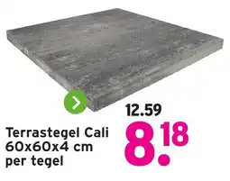 GAMMA Terrastegel Cali aanbieding