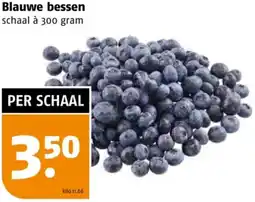 Poiesz Blauwe bessen aanbieding