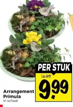 Vomar Voordeelmarkt Arrangement Primula aanbieding