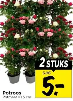 Vomar Voordeelmarkt Potroos aanbieding