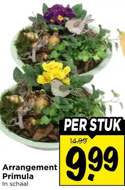 Vomar Voordeelmarkt Arrangement Primula aanbieding