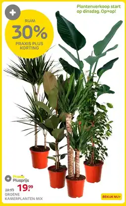 Praxis Groene kamerplanten mix ⌀24cm ↕120cm aanbieding