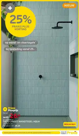 Praxis Deco Lingot Wandtegel - Aqua - 32x62,5 aanbieding