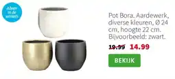 Intratuin Pot Bora aanbieding