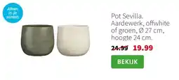 Intratuin Pot Sevilla aanbieding