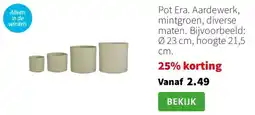 Intratuin Pot Era aanbieding