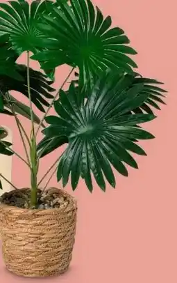 Xenos Kunstplant palm groen aanbieding