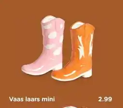 Xenos Vaas laars mini aanbieding