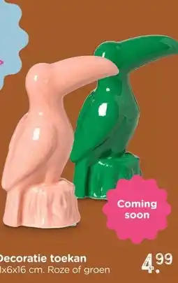 Xenos Decoratie toekan aanbieding