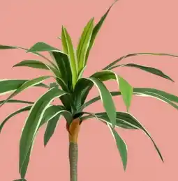 Xenos Kunstplant palm op lange steel groen aanbieding
