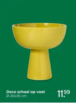 Xenos Deco schaal op voet aanbieding