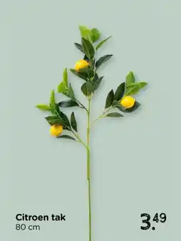 Xenos Citroen tak aanbieding