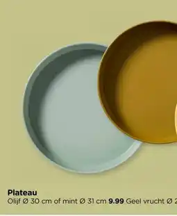 Xenos Plateau aanbieding