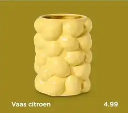 Xenos Vaas citroen aanbieding