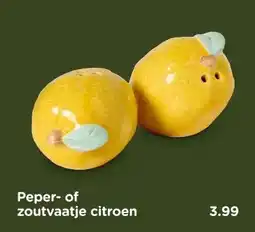Xenos Peper-of zoutvaatje citroen aanbieding