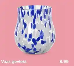 Xenos Vaas gevlekt aanbieding