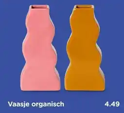 Xenos Vaasje organisch aanbieding