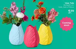 Xenos Vaas Tulp aanbieding