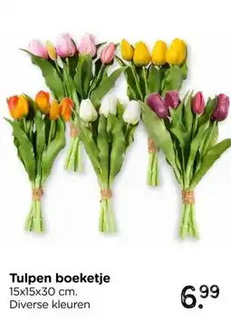 Xenos Tulpen boeketje aanbieding