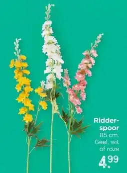 Xenos Ridder- spoor aanbieding