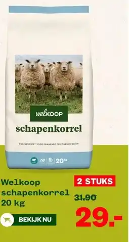 Welkoop Welkoop schapenkorrel aanbieding
