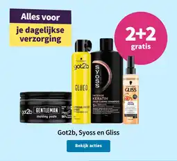 Plein.nl Got2b, Syoss en Gliss aanbieding