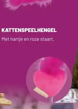 Pets & Co KATTENSPEELHENGEL aanbieding