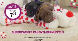 Pets & Co SUPERZACHTE VALENTIJN KNUFFELS aanbieding