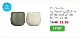 Intratuin Pot Sevilla. Aardewerk, offwhite of groen, Ø 27 cm, hoogte 24 cm. aanbieding