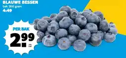 Boon`s Markt BLAUWE BESSEN aanbieding