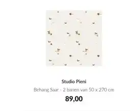 Babypark Studio Pieni aanbieding