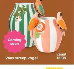 Xenos Vaas streep vogel aanbieding