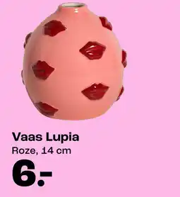 Kwantum Vaas Lupia aanbieding