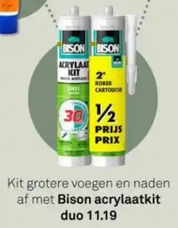 Karwei Bison acrylaatkit duo aanbieding