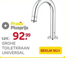 Praxis Grohe toiletkraan universal aanbieding