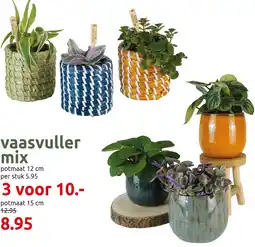 Deka Tuin Vaasvuller mix aanbieding