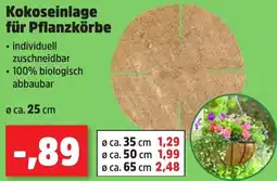 Thomas Philipps Kokoseinlage für Pflanzkörbe aanbieding