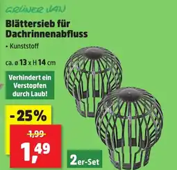 Thomas Philipps Grüner jan Blättersieb für Dachrinnenabfluss aanbieding