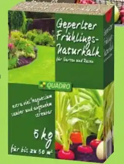 Thomas Philipps Geperlter Frühlings Naturkalk aanbieding