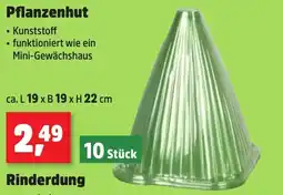 Thomas Philipps Pflanzenhut aanbieding