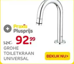 Praxis Grohe toiletkraan universal aanbieding